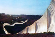rfence2.jpg