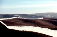 runfence2.jpg