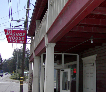 washoe.jpg