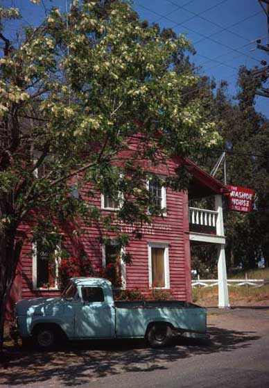 washoe2.jpg