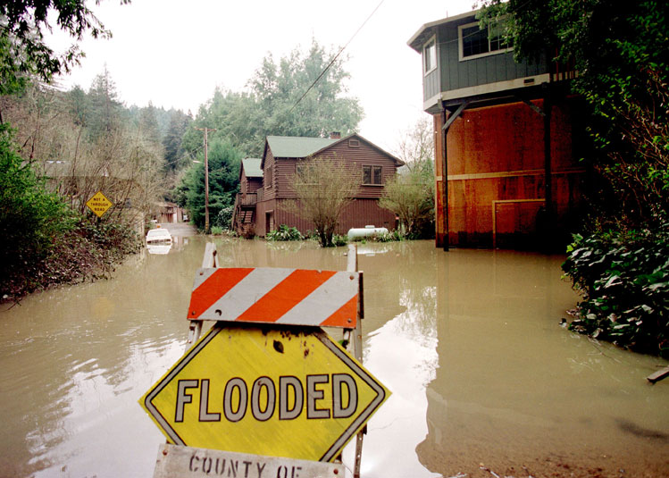 flooded.jpg